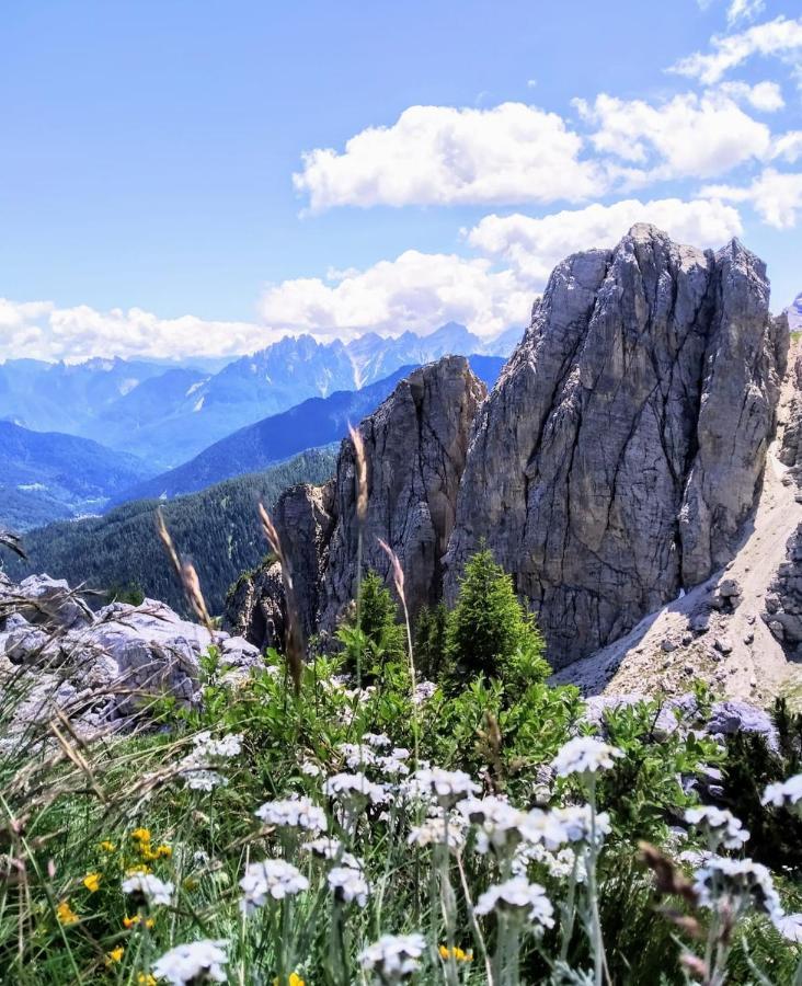 Camere Nordest Sudest- Conca Agordina Agordo Buitenkant foto