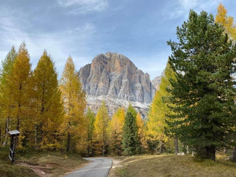 Camere Nordest Sudest- Conca Agordina Agordo Buitenkant foto