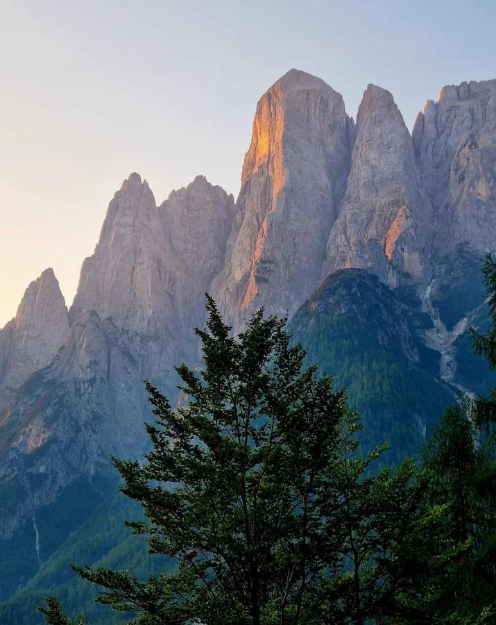 Camere Nordest Sudest- Conca Agordina Agordo Buitenkant foto